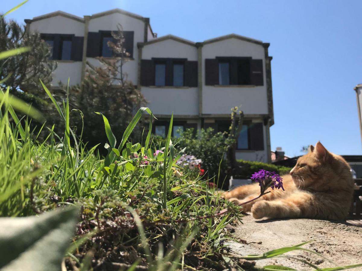 Apollon Hotel Bozcaada Zewnętrze zdjęcie